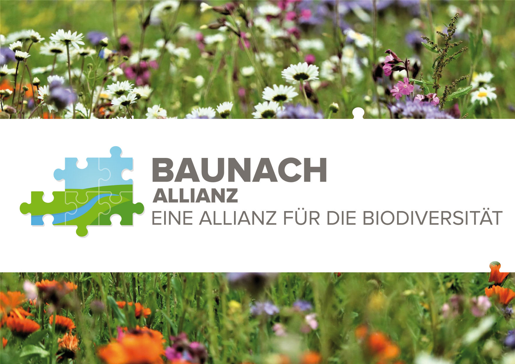 Stellenausschreibung: PROJEKTMANAGER*IN BIODIVERSITÄT