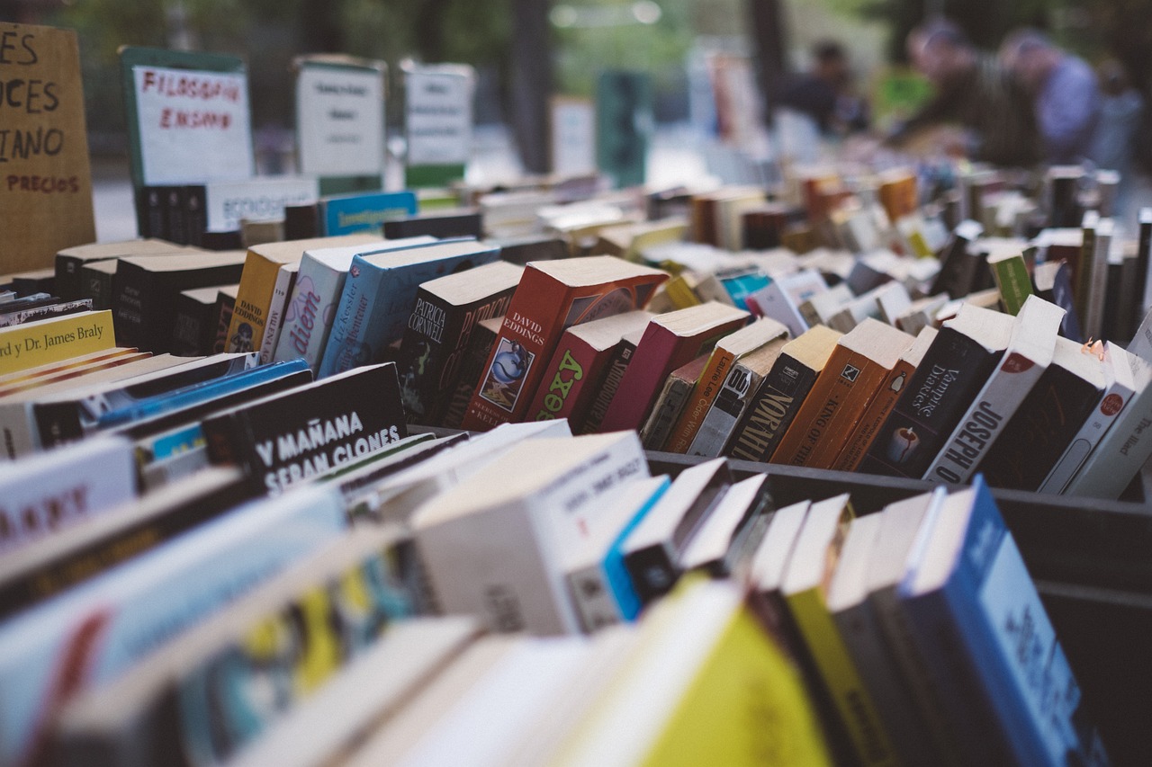 Lesestoff für die Bibliothek in Maamoura